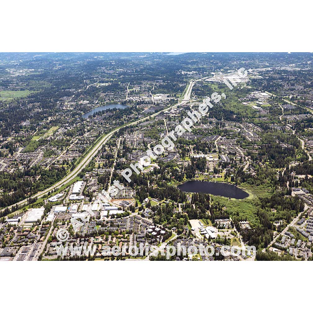 Everett - Paine / Everett Mall 2020