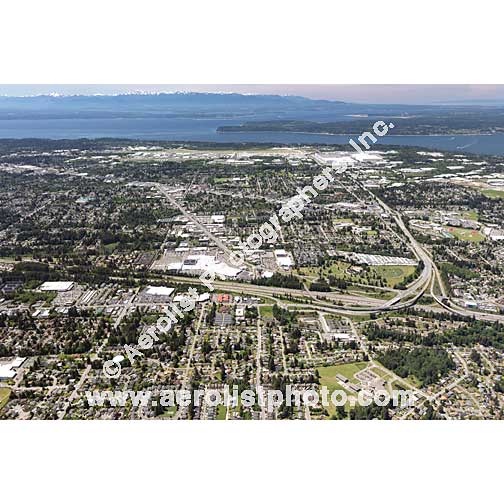 Everett - Silver Lake / South East 2020