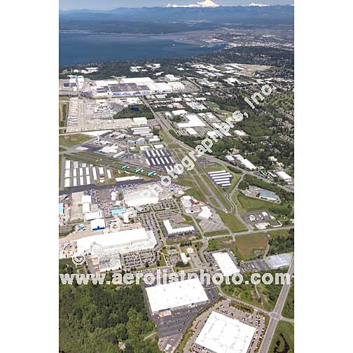 Everett - Paine / Everett Mall 2020