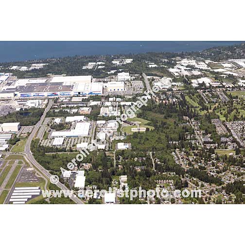 Everett - Paine / Everett Mall 2020