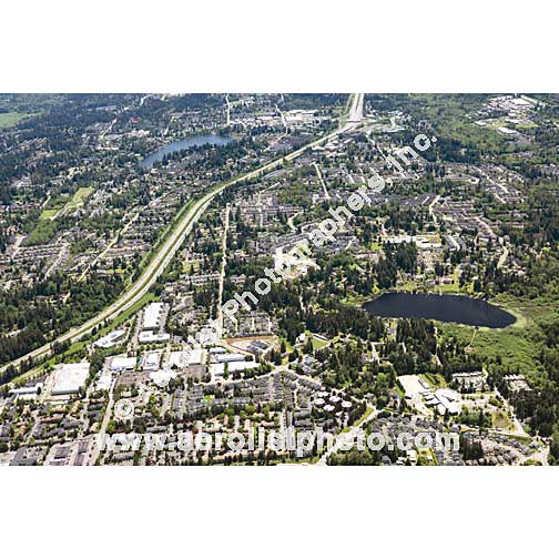 Everett - Paine / Everett Mall 2020