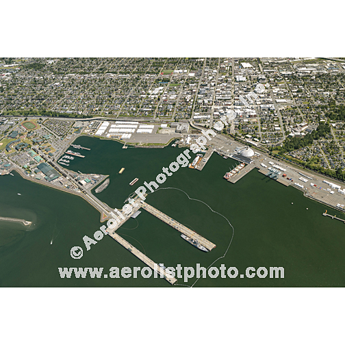 Everett - Central 2024