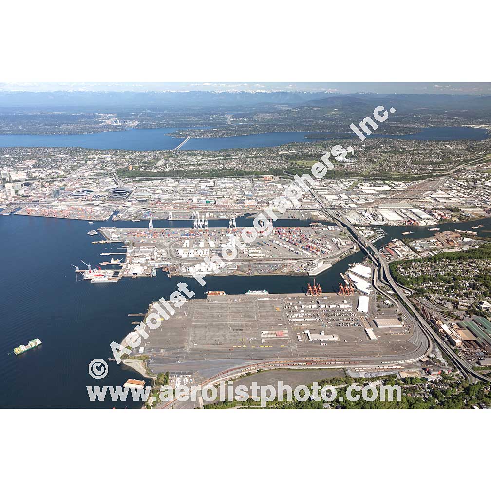 Seattle - West / White Center 2019