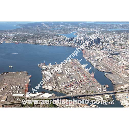 Seattle - West / White Center 2019