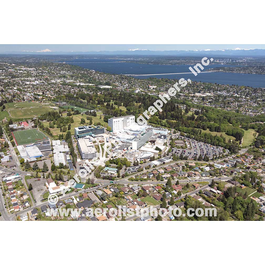 Seattle - South 2020