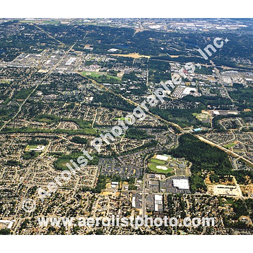 Tacoma-North East 2000