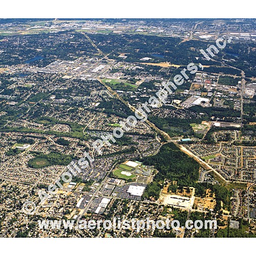 Tacoma-North East 2000