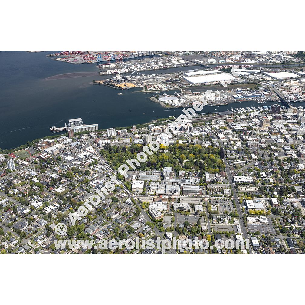 Tacoma - Downtown 2022