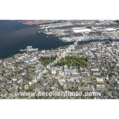 Tacoma - Downtown 2022