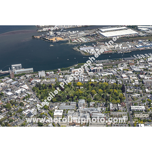 Tacoma - Downtown 2022